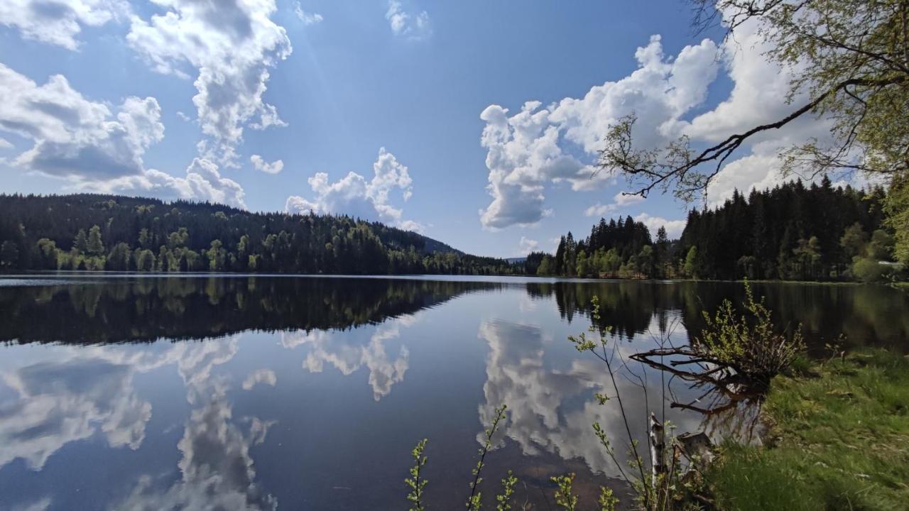 Am Berg * Feldberg (Baden-Wurttemberg)