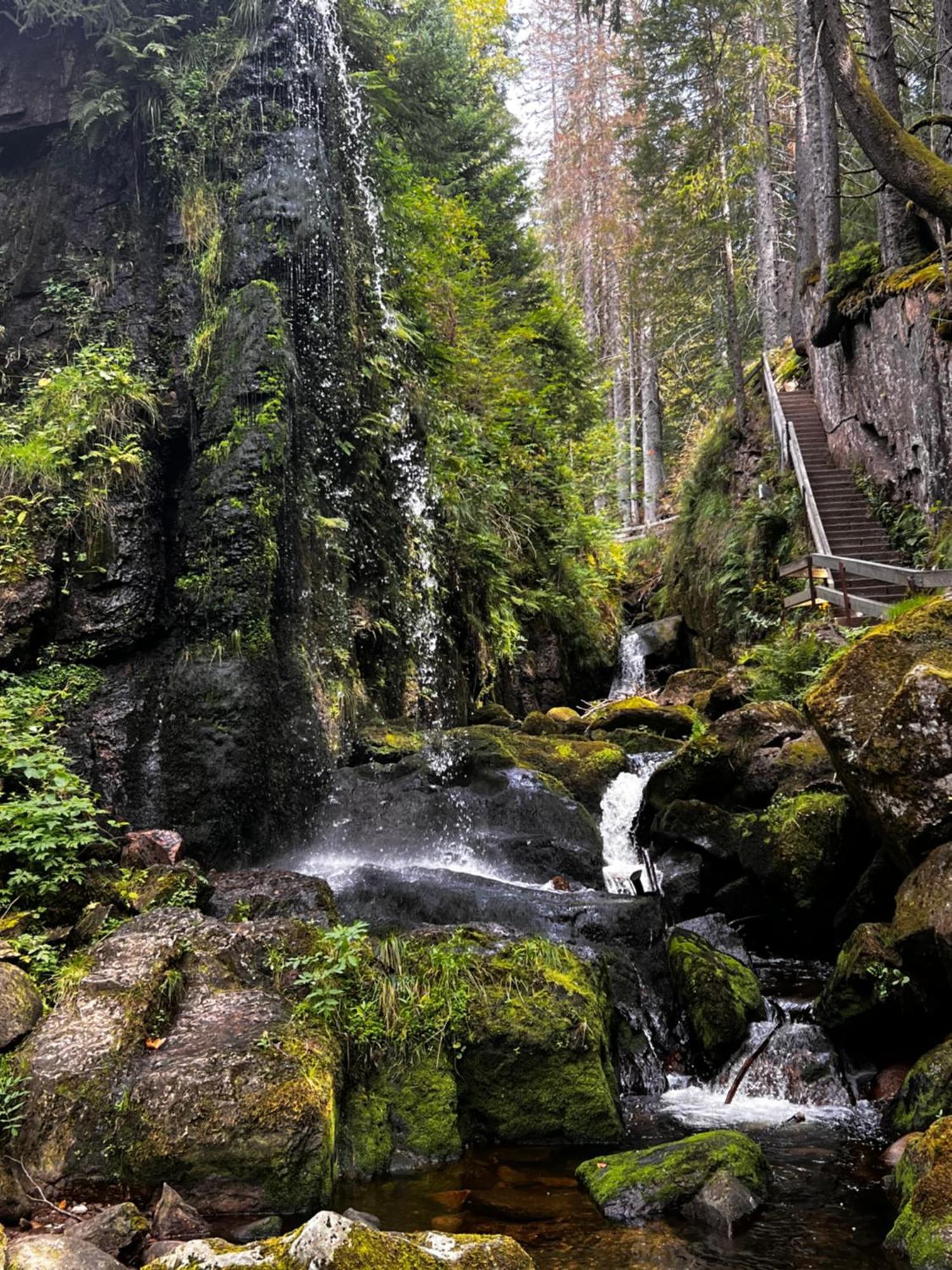 Am Berg *