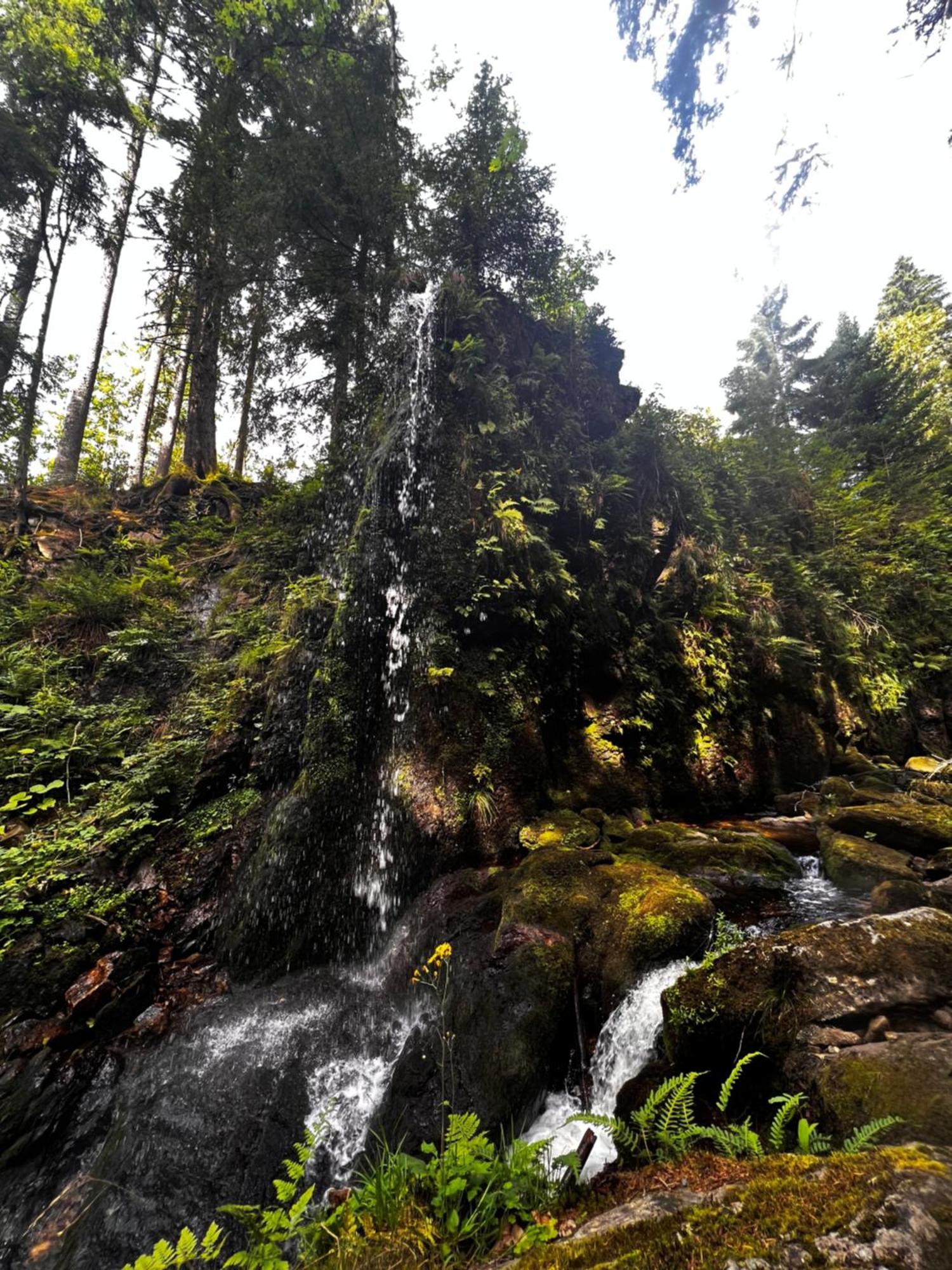 Am Berg *