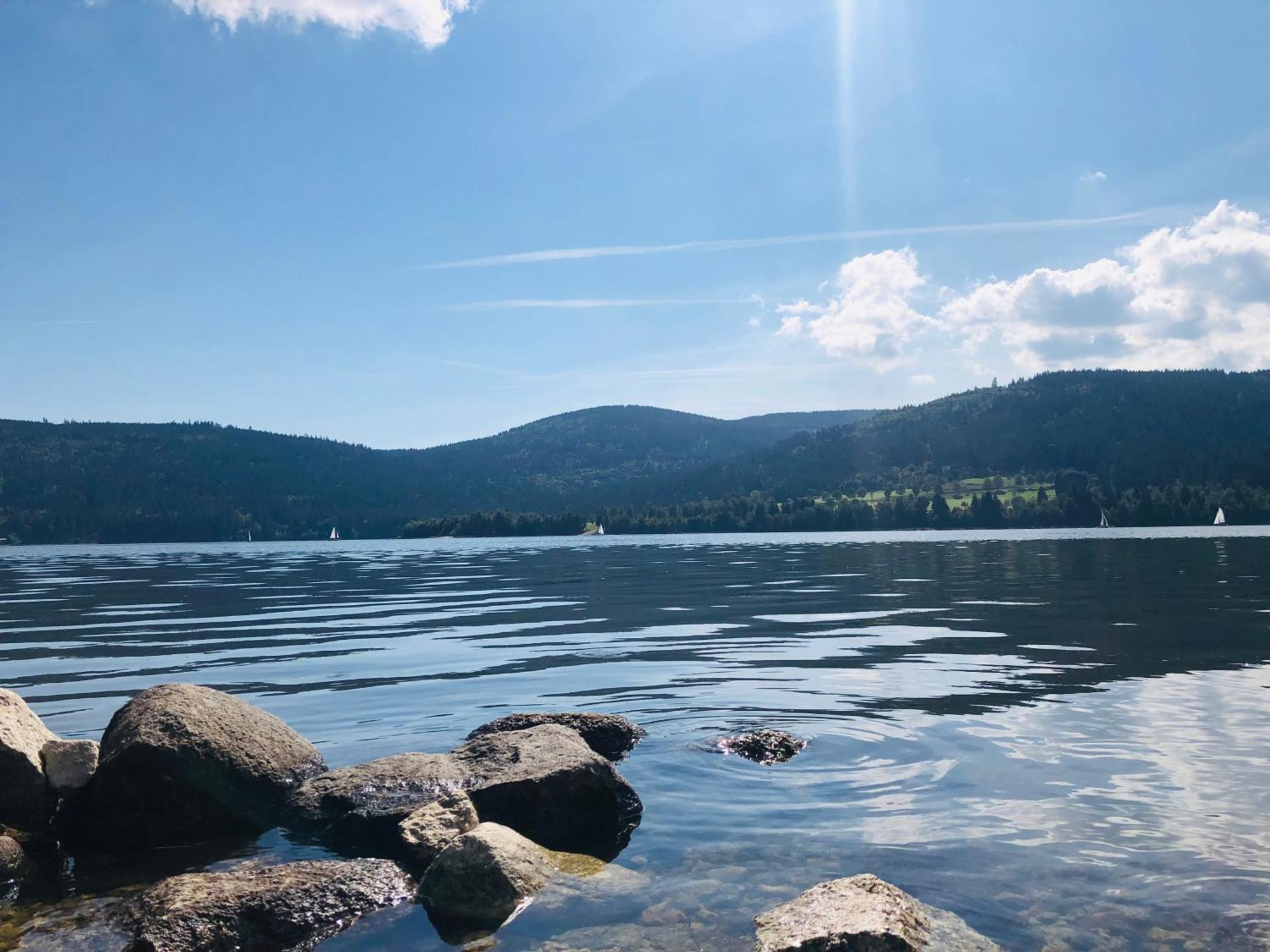 Am Berg Feldberg (Baden-Wurttemberg)