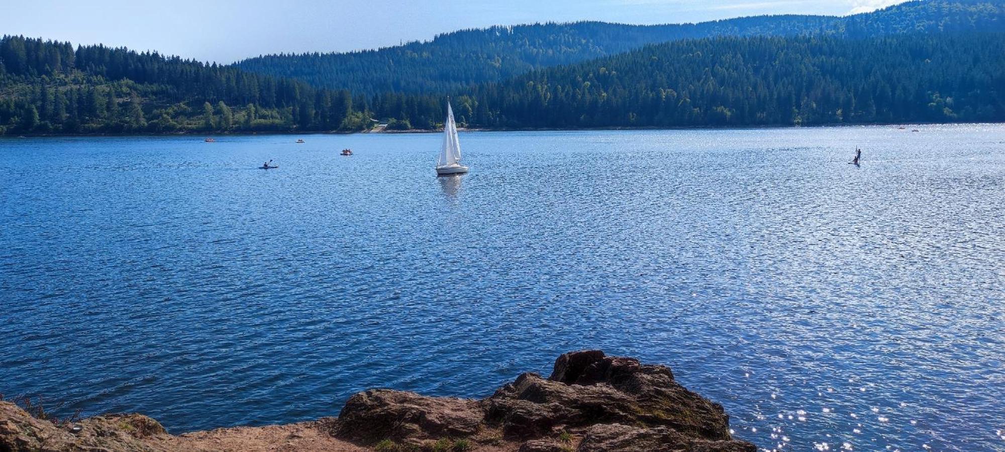 Am Berg Feldberg (Baden-Wurttemberg)