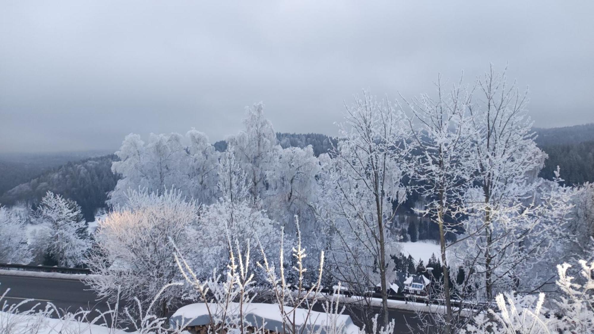 Apartment Am Berg Feldberg (Baden-Wurttemberg)